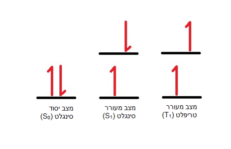 טריפלט