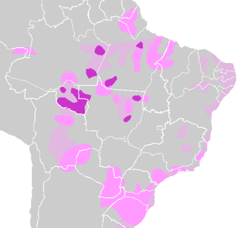 Tupi Sprachen Wikiwand