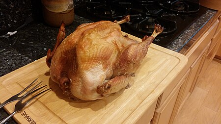Tập tin:Turkey for Thanksgiving.jpg