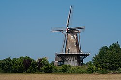 Varik, windmill: korenmolen de Bol