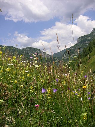 <span class="mw-page-title-main">Grădiștea Muncelului-Cioclovina Natural Park</span>