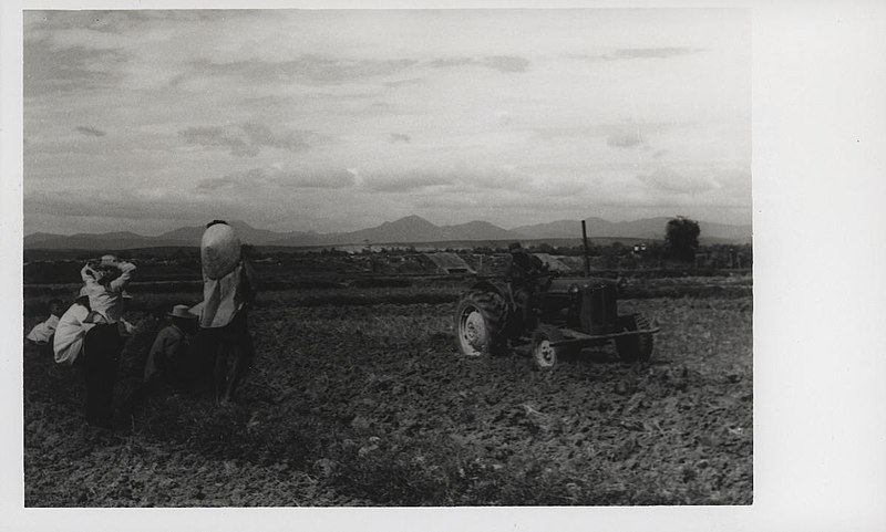 File:Vietnamese Farmers Watch a Tractor Till Their Fields, 1969 (28717888813).jpg