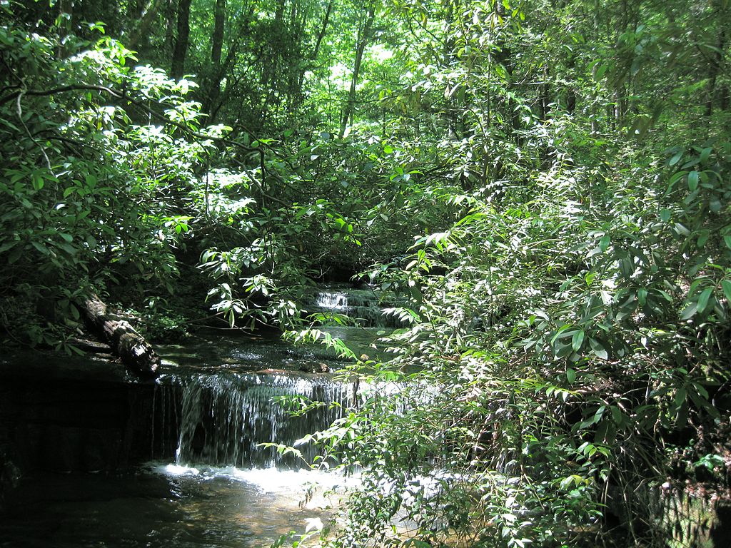 https://upload.wikimedia.org/wikipedia/commons/thumb/8/83/WaterFallsTableRockStatePark.jpg/1024px-WaterFallsTableRockStatePark.jpg