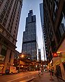 A view of Willis Tower at dusk