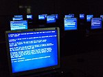 Windows Blue Screen on room full of computers.JPG