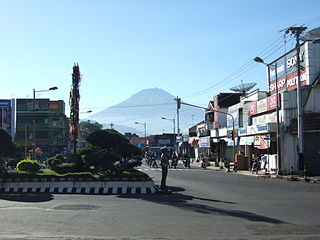 <span class="mw-page-title-main">Wonosobo (town)</span> Town in Central Java, Indonesia