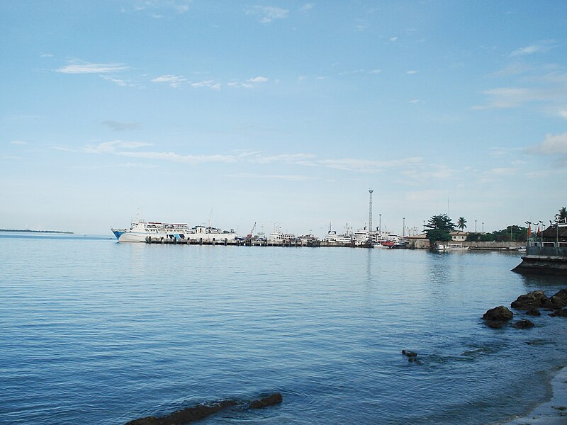 File:Zamboanga International Seaport 2010.JPG