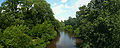 English: River near Otwock and Józefów Polski: Rzeka w pobliżu Otwocka i Józefowa