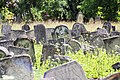 Єврейське кладовище у Вижниці 28.jpg
