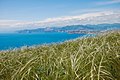 Вид на узбережжя з Меганому.jpg
