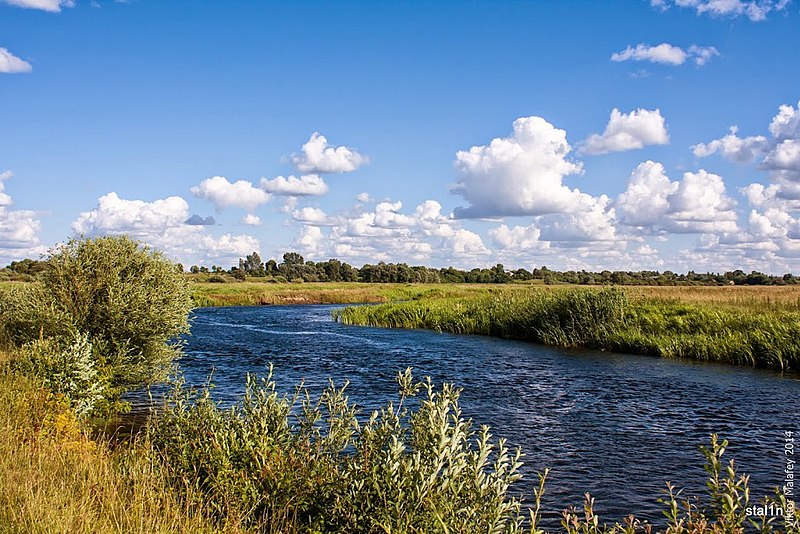 File:Річка Стир на околиці села Лисин.jpg