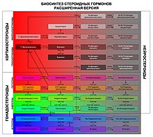 Доклад: Классификация типа женской сексуальности