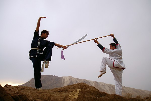 Kung fu in Iran