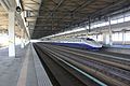Shinkansen Platform