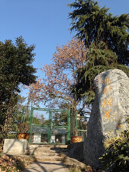 File:南京白马石刻公园佛都禅茶正门 - panoramio.jpg