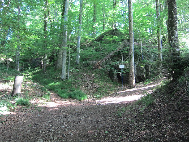 File:01 Schwarzenburg Castle.JPG