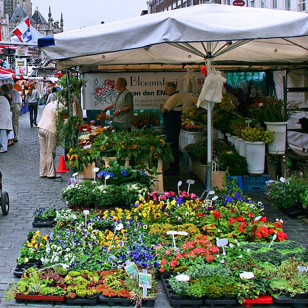 Flower seedlings at a market in Breda, Netherlands