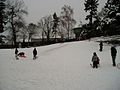 Rodeln am Fichtenberg, Berlin-Steglitz