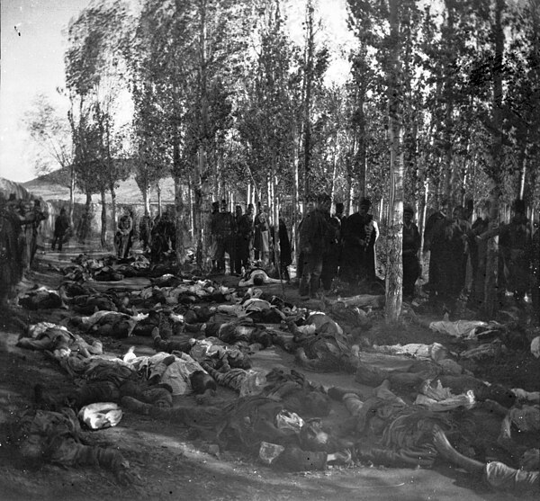 A photograph taken in November 1895 by William Sachtleben of Armenians killed in Erzurum