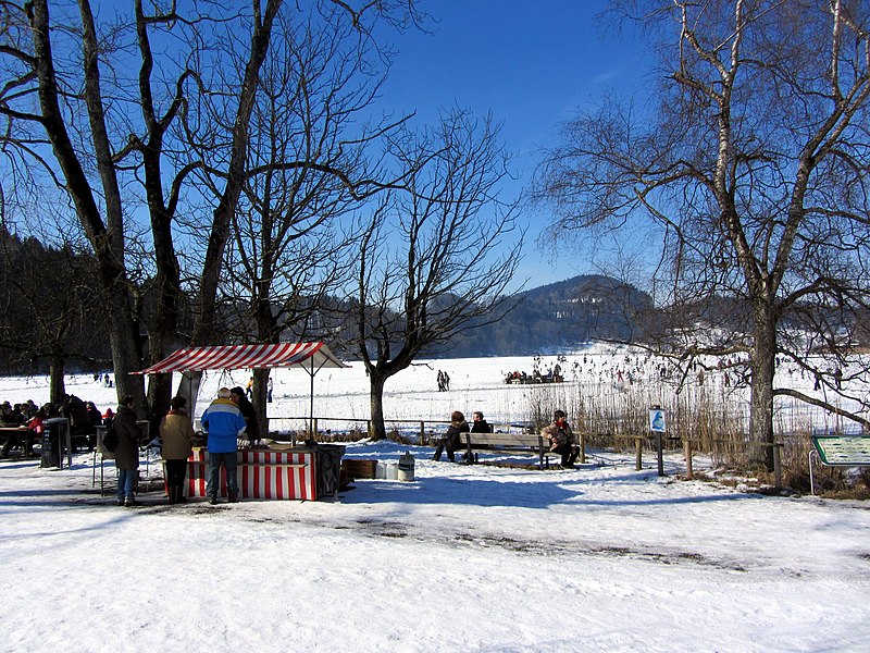 File:2012 'Seegfrörni' - Türlersee - Hausen am Albis 2012-02-18 12-40-30 (SX230).JPG