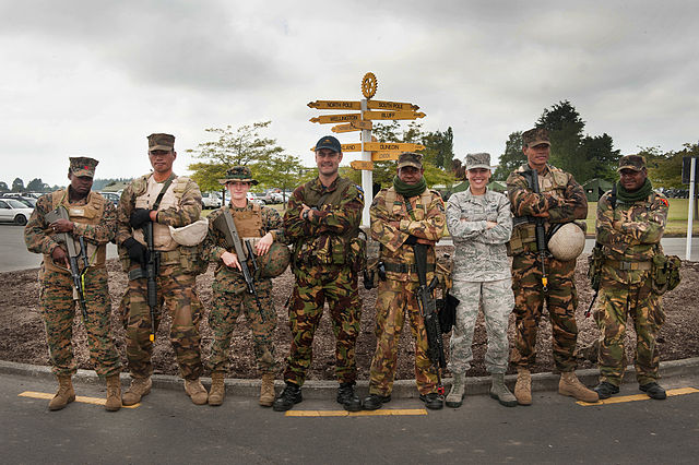 Military service members of different nationalities wearing a variety of combat uniforms in 2013.