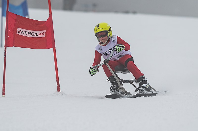 File:2018 STM Austria Skibob Hochficht DORFER Fabian-2352.jpg