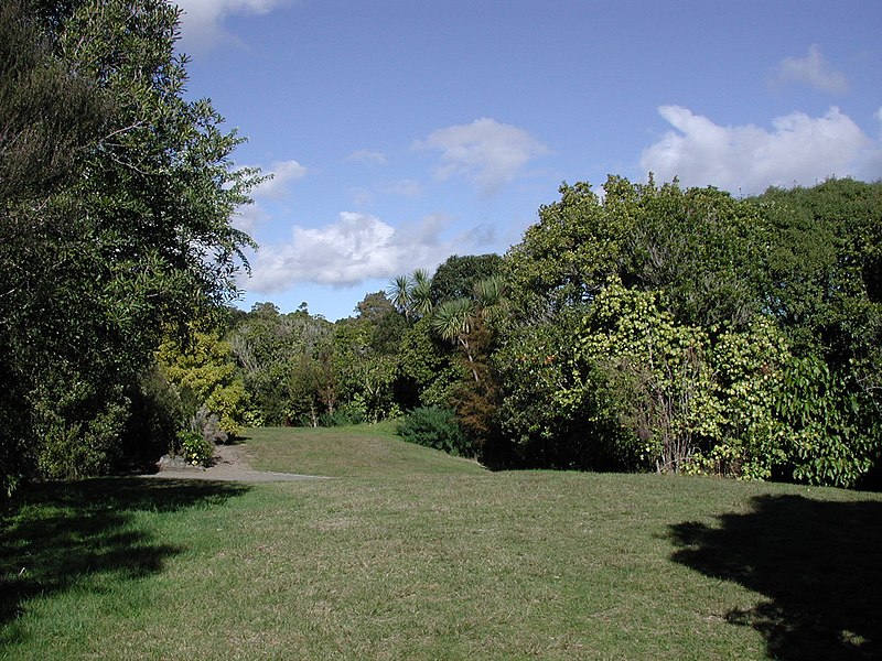 File:A clearing in Nga Manu Nature Reserve.jpg