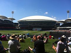 Adelaide Oval 2014 - view from the hill.jpg