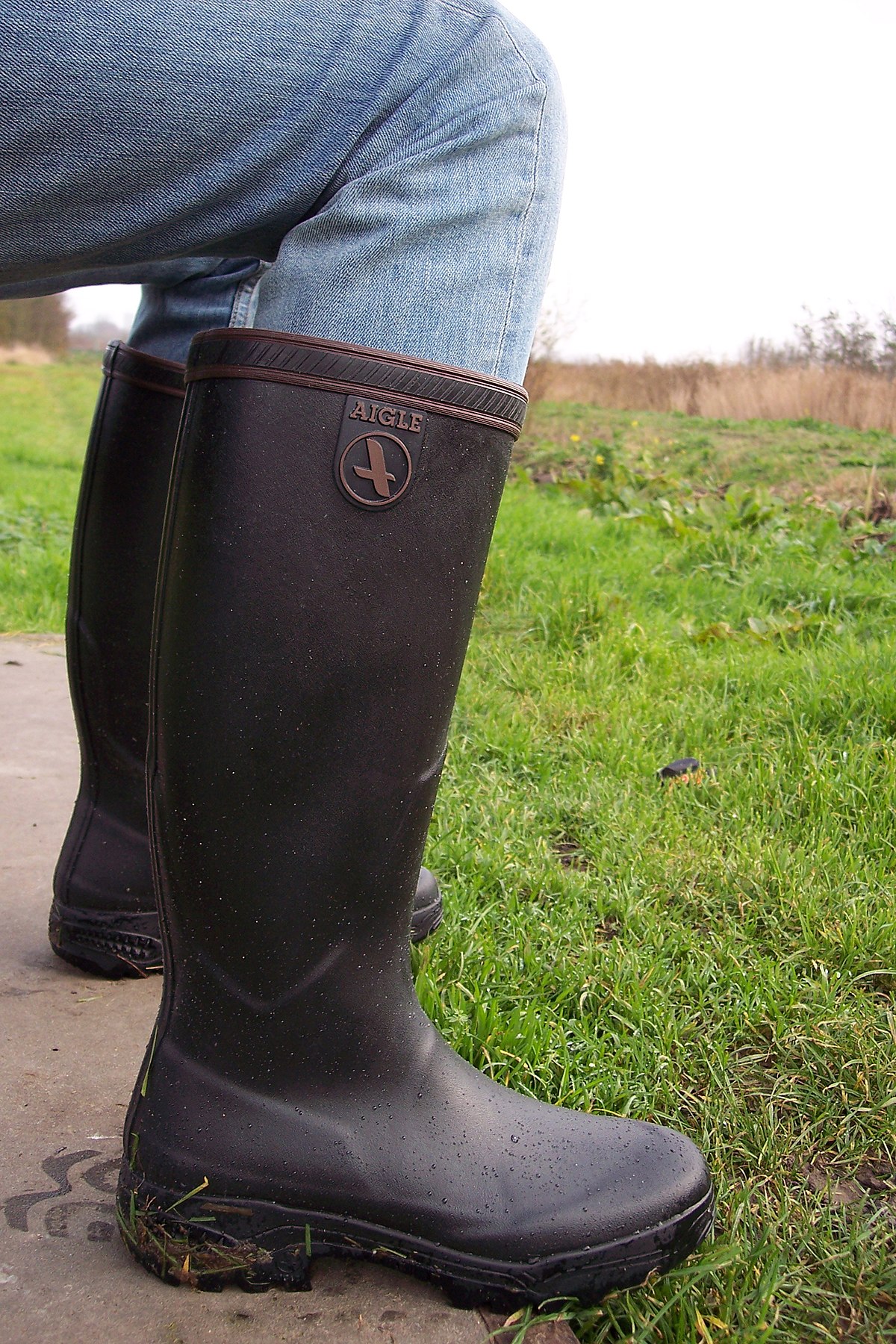 boots.jpg - Wikimedia Commons