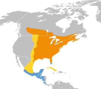 Archilochus colubris map.뉴스레터