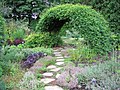 An arch of vines.