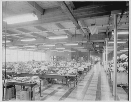 File:Argo Knitting Mills, Schuylkill Haven, Pennsylvania. LOC gsc.5a21989.tif