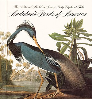 Audubon Birds of America.jpg