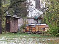 Bienenstöcke im Klostergarten