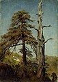 Август Каппелен. «Два дерева», 1850 р.