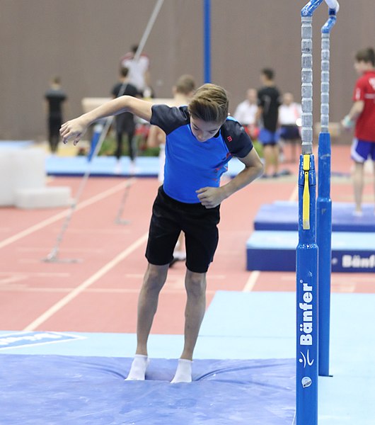 File:Austrian Future Cup 2018-11-23 Training Afternoon Parallel bars (Martin Rulsch) 0487.jpg