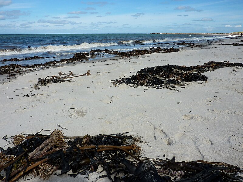 File:Beach - Heligoland.jpg