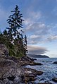 * Nomination Beach by Little Kuitsche Campsite, de Fuca Trail, Vancouver Island, Canada --Podzemnik 00:08, 17 July 2018 (UTC) * Promotion  Support The sky works so well, Good quality. --Sixflashphoto 00:40, 17 July 2018 (UTC)