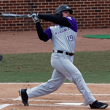 Niagara Purple Eagles baseball