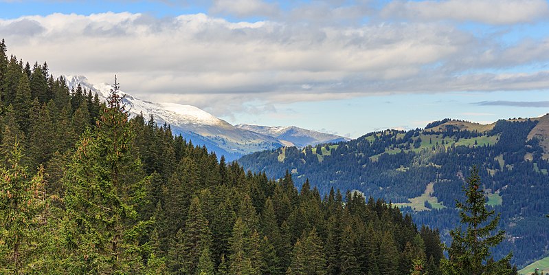 File:Bergtocht van Tschiertschen (1350 meter) via Ruchtobel richting Ochsenalp 08.jpg