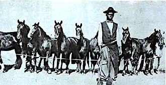 I gaucho neri erano all'ordine del giorno nelle terre di confine tra Brasile e Uruguay, sebbene raramente pubblicizzati. Un'eccezionale fotografia dell'inizio del XX secolo.