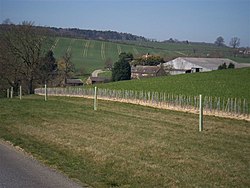 Blenheim Farm - geograph.org.uk - 389087.jpg