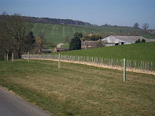 <span class="mw-page-title-main">Blenheim Farm</span>