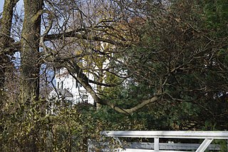 Bogota (Port Republic, Virginia) Historic house in Virginia, United States