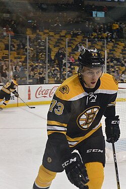 Brandon Carlo (2).jpg