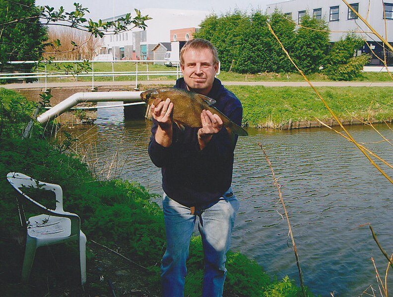 File:Bream caught in the Netherlands with a rod.jpg