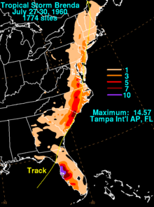 Storm total rainfall for Brenda (1960) Brenda 1960 rainfall.png