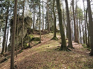 Burgstall Spitzenberg - Ansicht des Burghügel aus nördlicher Richtung (April 2011)