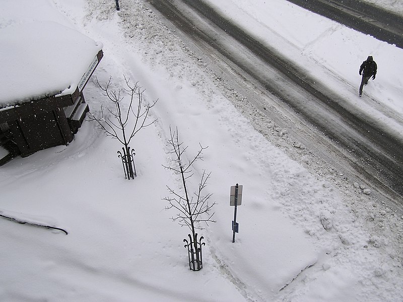File:Bus Stop Snow 25.jpg