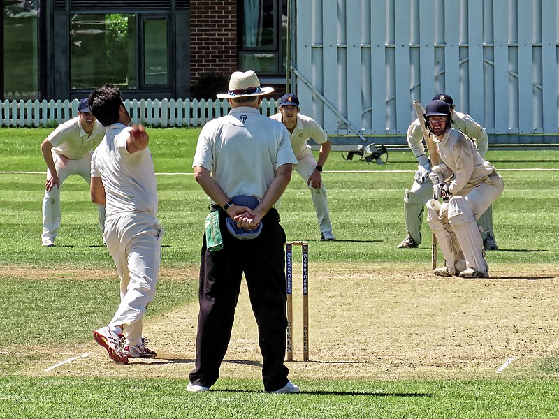 File:Cambridge University CC v MCC at Cambridge, England 039.jpg